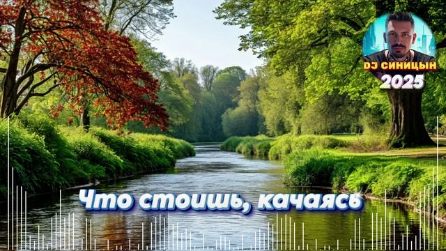 DJ СИНИЦЫН - Что стоишь, качаясь 2025 смотреть онлайн