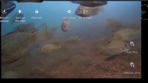 Обзор подводного дрона для рыбалки и подводной съемки Gladius Chasing F1 Pro Fish Finder Drone