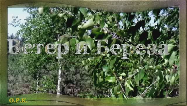 ВЕТЕР и БЕРЕЗА исп И Чернов стихи М Назарьина