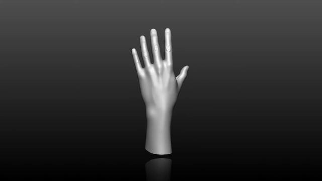 Hand Model/Sculpt смотреть онлайн