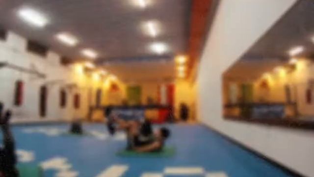 Global Gym Boxe Foligno/mjx bugs 3 mini whoop/4S/Radiomaster tx16s/gopro hero смотреть онлайн