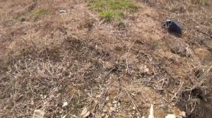 Охота с рогаткой закрытие сезона