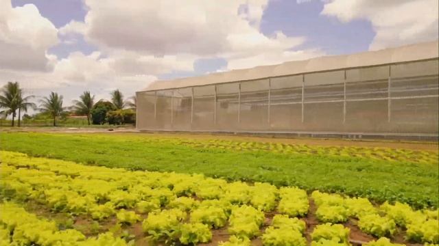 BODEGA CESAR SOARES | TV OOPS - 29/FEV/24 смотреть онлайн