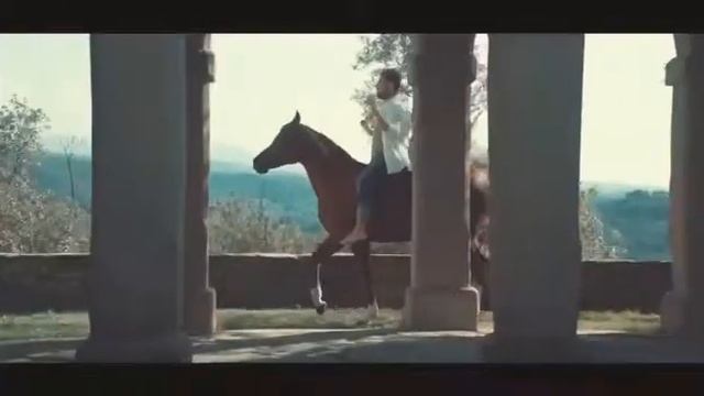 Красивое видео про лошадей смотреть онлайн