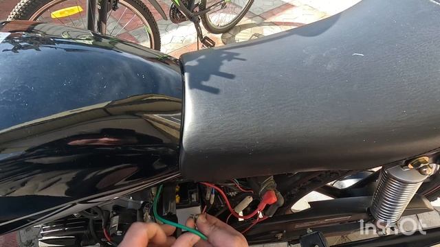 альфа после зимовки