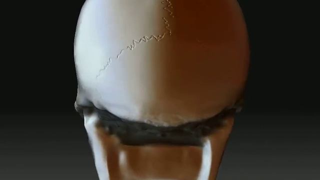 ZBrush Skull смотреть онлайн