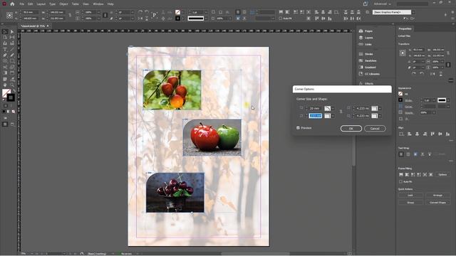Adobe indesign tutorials in tamil Class 4 | Multiple images | Gradient Feather | Frame fit & Arrang смотреть онлайн