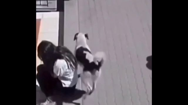 comedy смотреть онлайн