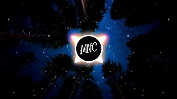 VIZE & Alan Walker Ft. Leony – Space Melody (Edward Artemyev)