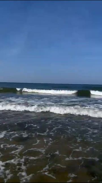 #shorts Балтийское море Зеленоградск Купаться или нет? смотреть онлайн