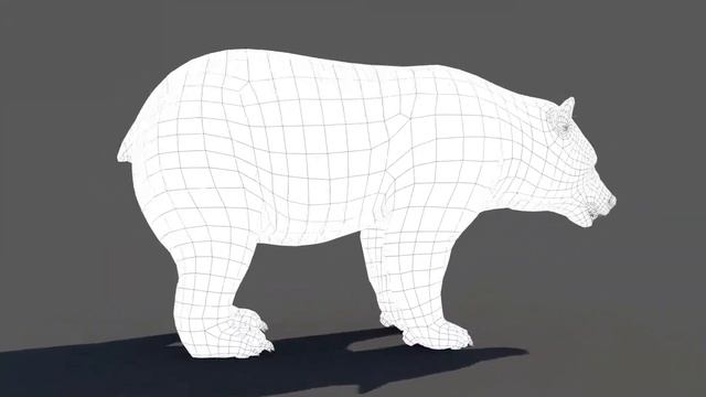 Realistic Black Bear 3D Model – High-Quality Furry Asset смотреть онлайн