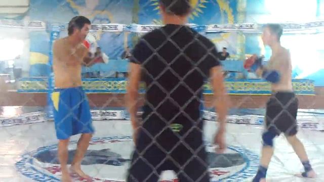 dauren смотреть онлайн