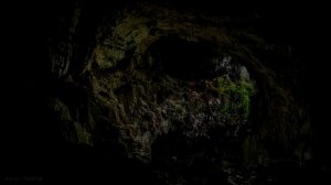 Шум нежного дождя и ветерка в пещере для сна и медитации