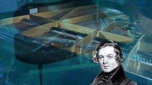 Robert Schumann, Carnaval, 17. Paganini