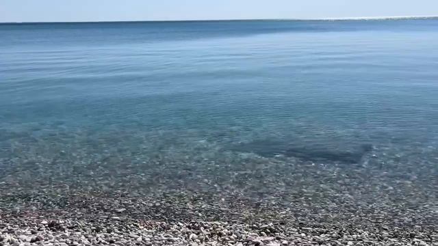 море сегодня 🌊 чистое и спокойное #2024 #Ольгинка #благовещениепресвятойбогородицы смотреть онлайн