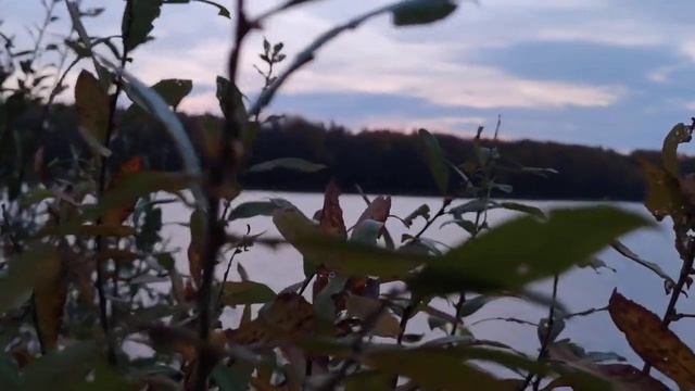 VID 20221015 182244 Леонардо да Винчи (К. Бальмонт)...Павел Васильев Лахтинский смотреть онлайн