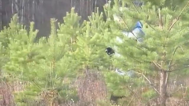 Эхо шагов - Автор музыки и исполнитель Аверьянов Сергей смотреть онлайн