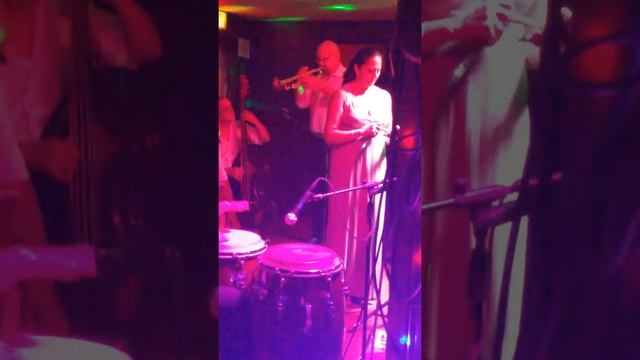 Rosa singing "Besame Mucho" Paul Gaspar on Trumpet смотреть онлайн