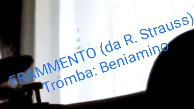 FRAMMENTO (da R. Strauss) - Tromba: B. Piemontese смотреть онлайн