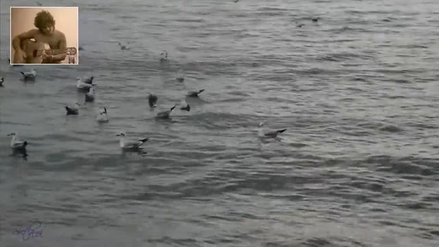 Юрий Илларионов - Любимая,ты слышишь голос моря смотреть онлайн