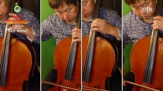 Lascia ch'io pianga : Georg Friedrich Händel - Shinichi Eguchi|My Strings/Japan смотреть онлайн