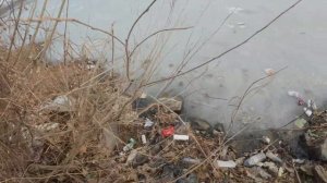 Я такого не ожидал (рыбалка на хапуги)