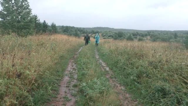По следам дождя смотреть онлайн