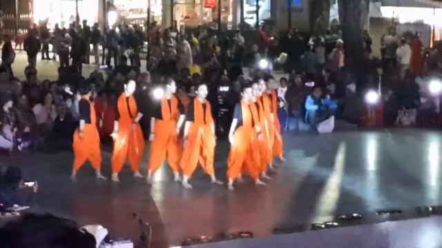 Dans With Darjeeling