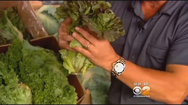 Fresh Grocer: Red Leaf Lettuce смотреть онлайн