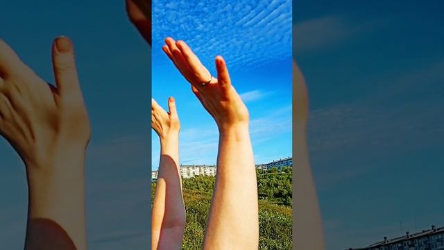 ЦВЕТ НЕБЕСНЫЙ – Стас Дзюбан ( песня А. Барыкина) смотреть онлайн