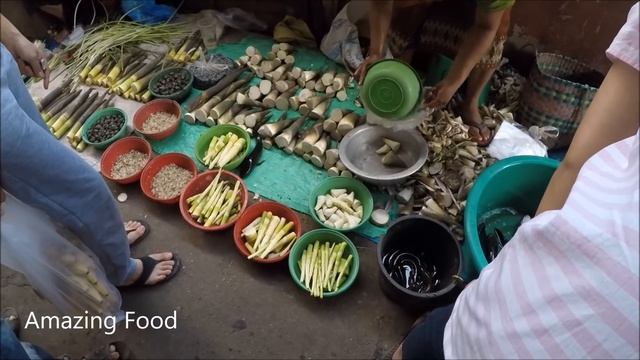 Laos Food - Wild Market , Insects