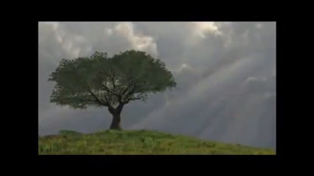 Best Meditation Music for Relaxation and Focus смотреть онлайн