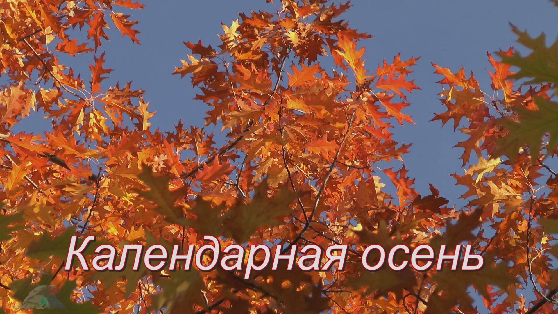 Королева-Осень смотреть онлайн