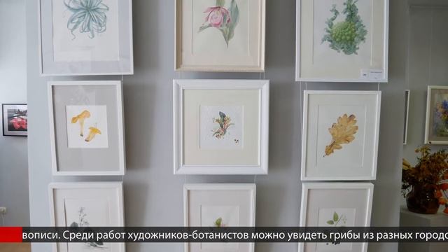 V фестиваль акварели «Яблоневый сад» смотреть онлайн