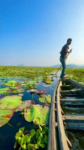 URPADBEEL #assam #shorts #youtubeshorts