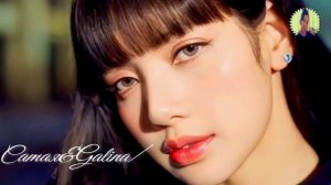 Great Music-Umar Keyn-DNDM-JamBeats-Davvi-25/02/2025/Саmая&Galina