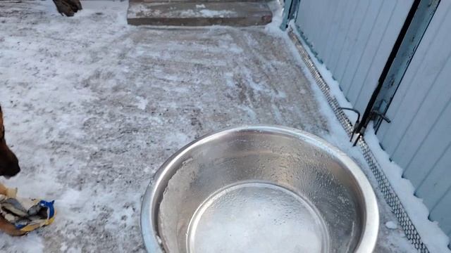 Ейск ! Немного о разном или не о чём ! смотреть онлайн