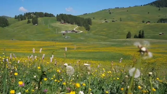 नीलगिरी पर्वत के बारे में सभी जानकारी | Nilgiri Ki Pahadiyan | Nilgiri Hills Tamil Nadu |