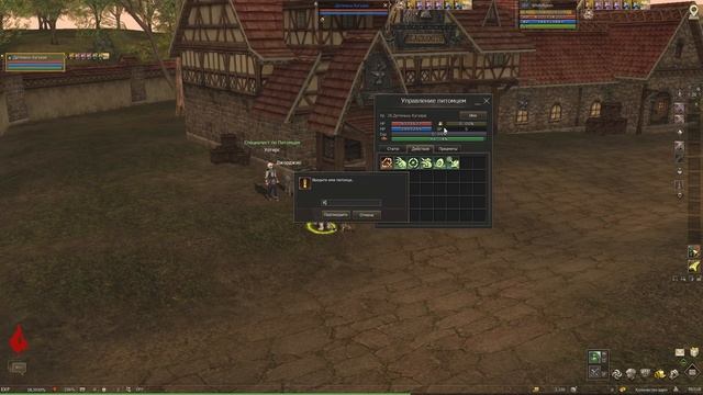 Питомцы.  Lineage 2 Main Ruoff. Airin