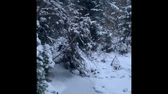 SOUND HEALING TERAPE смотреть онлайн