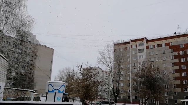 Нашествие птиц смотреть онлайн