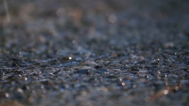 Эта музыка проникает в глубину сердца и побуждает к доброму и чистому...🎵Сергей Грищук 🎵 смотреть онлайн