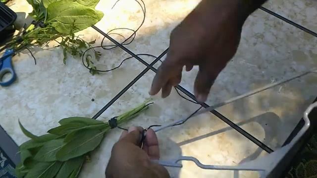 A Simple Way to Dry Out Your Herbs at Home #TeamWoodsGardening смотреть онлайн