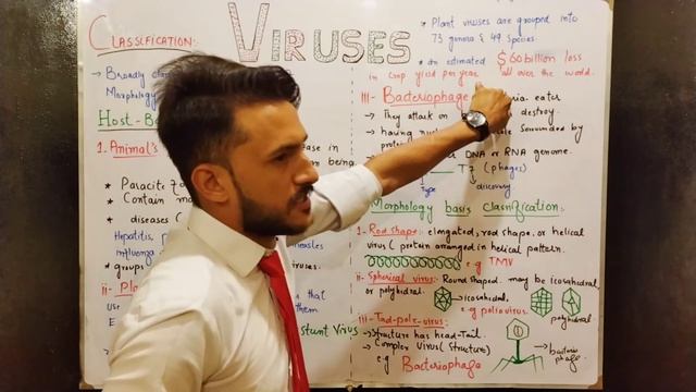 classification of Viruses|| host and morphology basis|acellular life| urdu/hindi смотреть онлайн