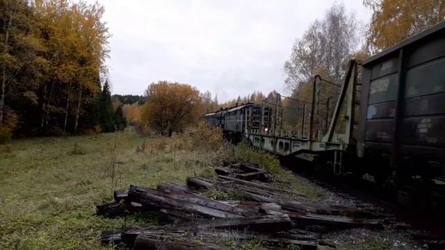 "Золотая осень" Тепловоз 2ТЭ10В-4457 с грузовым составом. смотреть онлайн