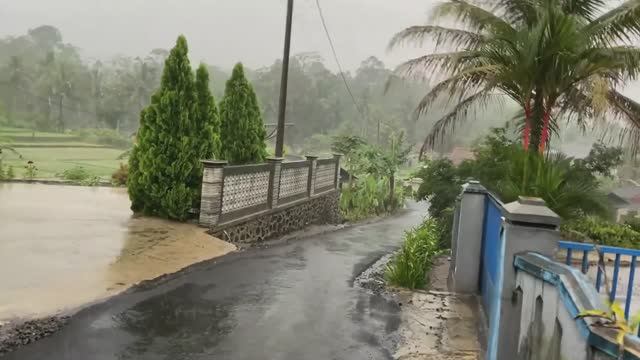 Сильный дождь и раскаты грома в Индонезийской деревне. Прогулка под дождем. Звуки дождя для сна. смотреть онлайн