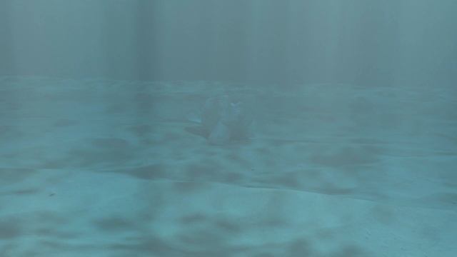Blender Underwater Lighting Test смотреть онлайн