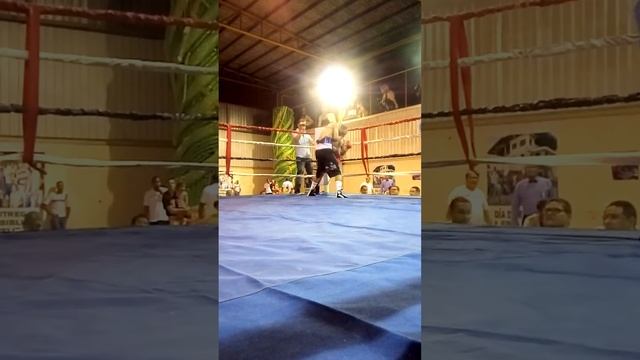 wilner soto pelea # 17 смотреть онлайн