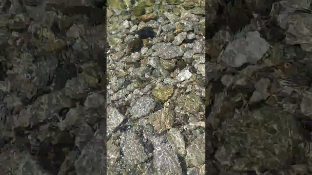 море Шепси водичка супер смотреть онлайн