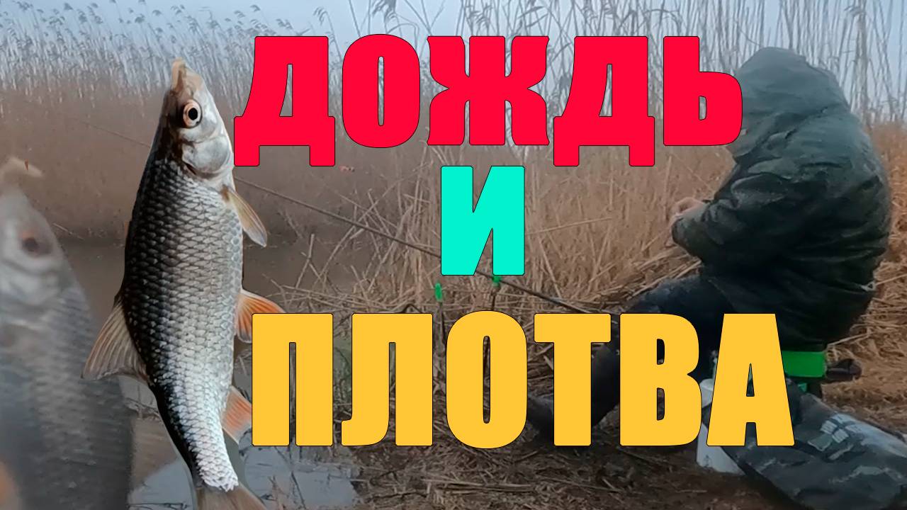 Как берет плотва в дождь у нас смотреть онлайн
